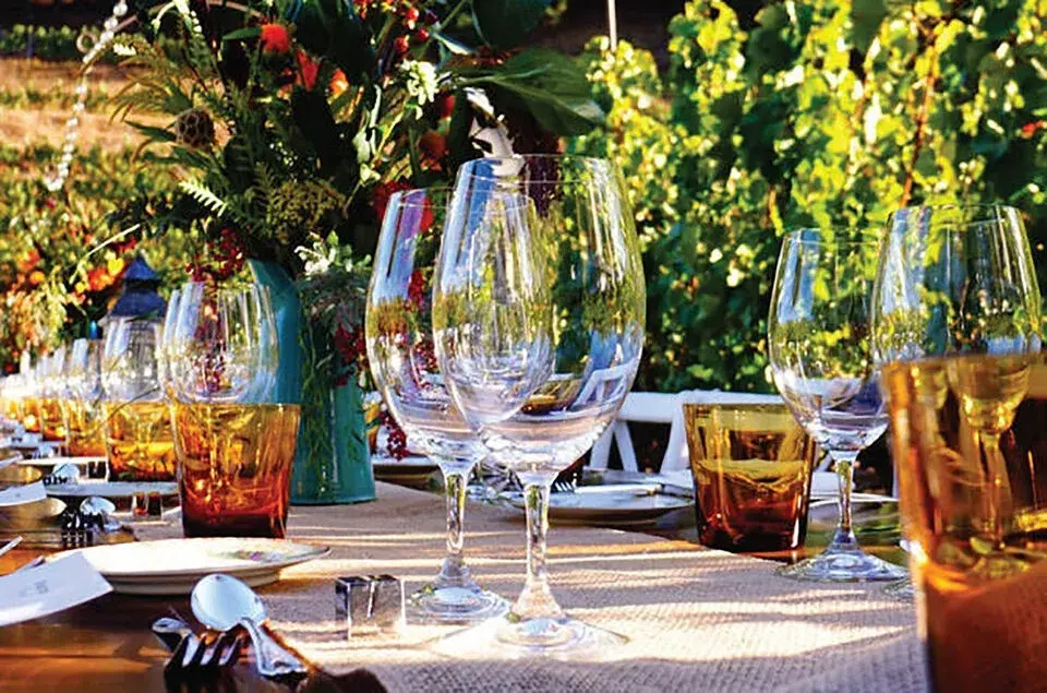 San Gimignano: Romantic Vineyard Dinner Experience